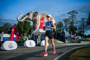 BIB: 
                            <button type="button" onclick="openModal(26541630)" class="btn btn-primary btn-sm float-right btn-popup" data-toggle="modal" data-target=".modal-high-quality">
                        <i class="fas fa-shopping-cart"></i> Add to Cart
                    </button>
                                            <button type="button" onclick="isThisMe(26541630, true)" class="btn btn-success btn-sm float-right btn-popup btn-isme hidden" data-toggle="tooltip" data-placement="bottom" title="นี่คือรูปของคุณใช่ไหม คลิกที่นี่เพื่อเอาเข้าอัลบั้ม">
                        <i class="fas fa-plus"></i> Add to album
                    </button>
                    <button type="button" onclick="isThisMe(26541630, false)" class="btn btn-warning btn-sm float-right btn-popup btn-isnotme hidden">
                        <i class="fas fa-ban"></i> Remove from album
                    </button>